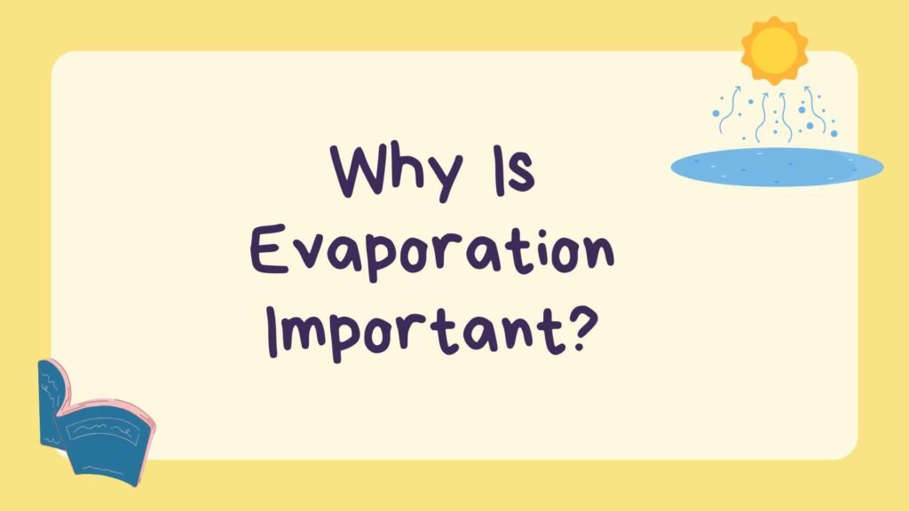 Why Is Evaporation Important