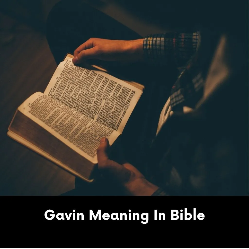 Gavin Meaning In Bible