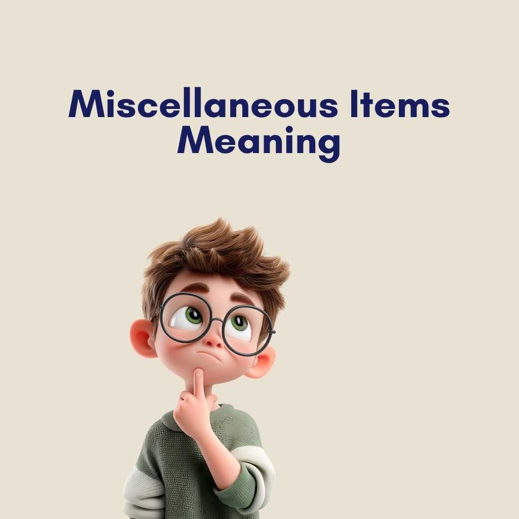 Miscellaneous Items Meaning