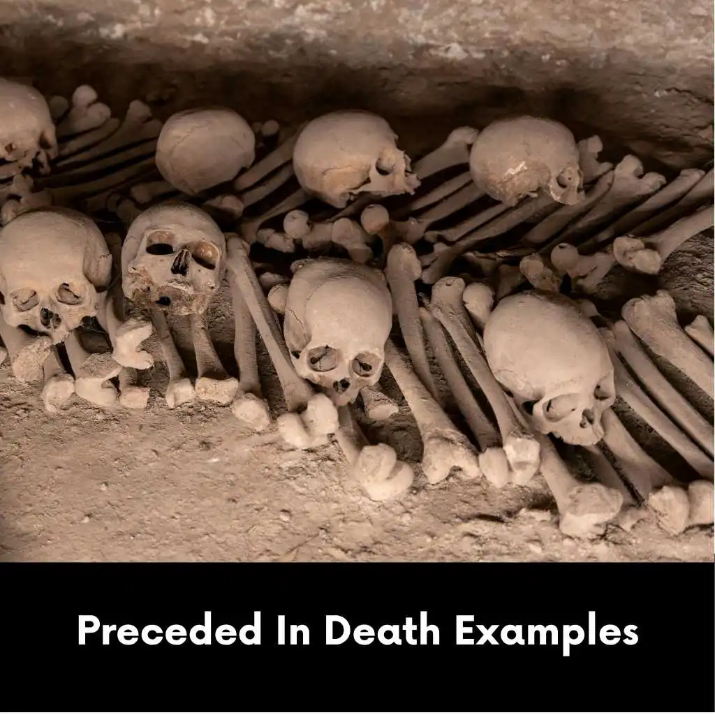 Preceded In Death Examples