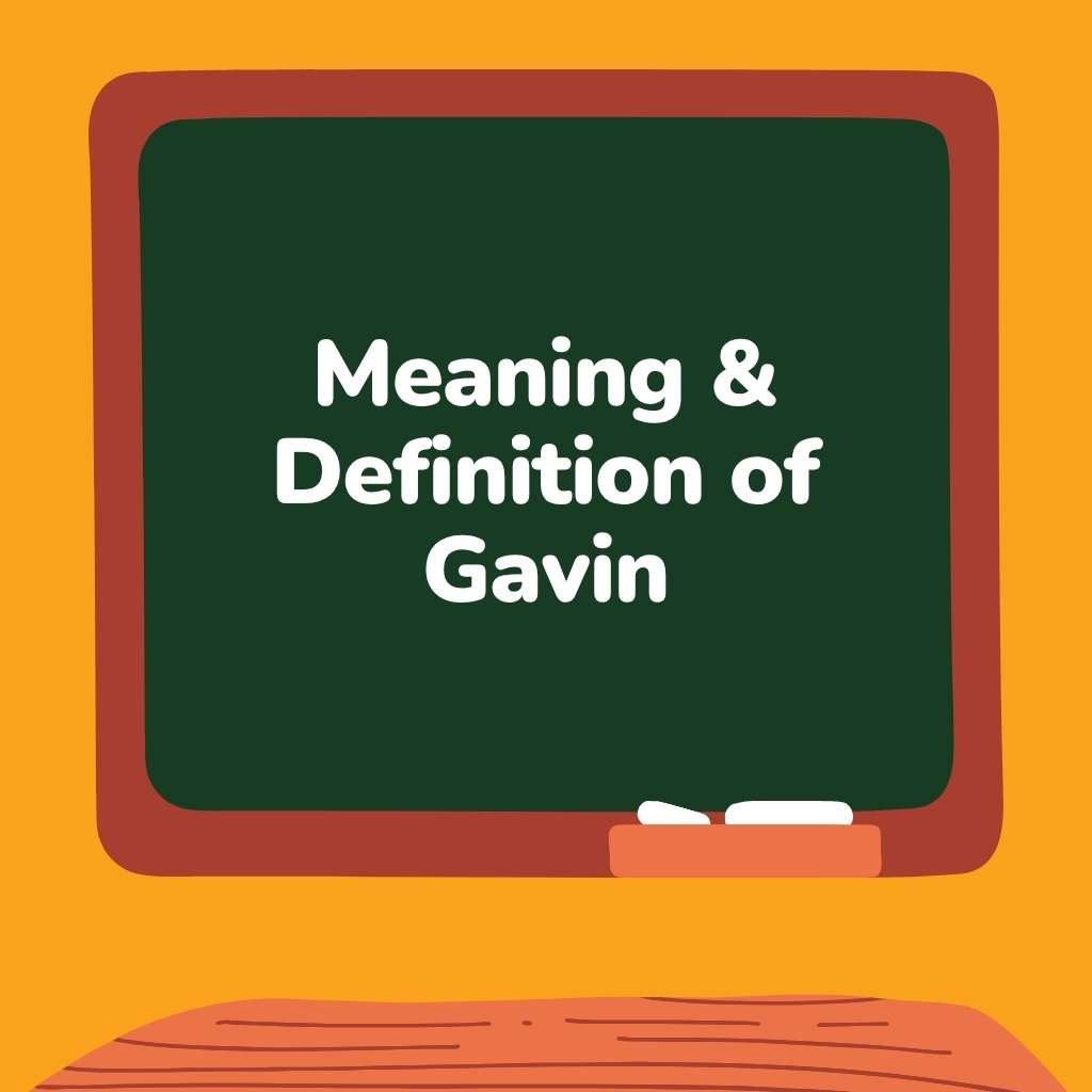 What Does Gavin Mean