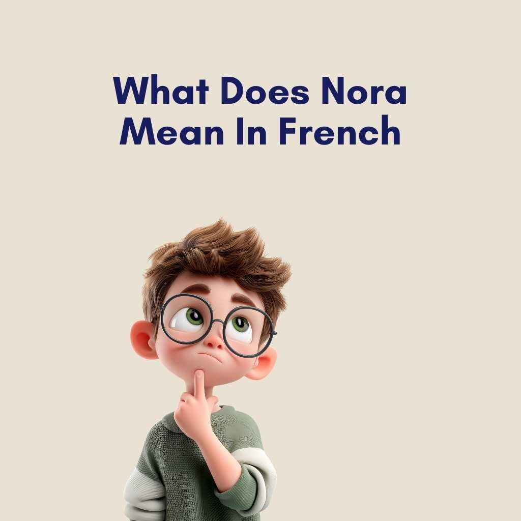 What Does Nora Mean In French