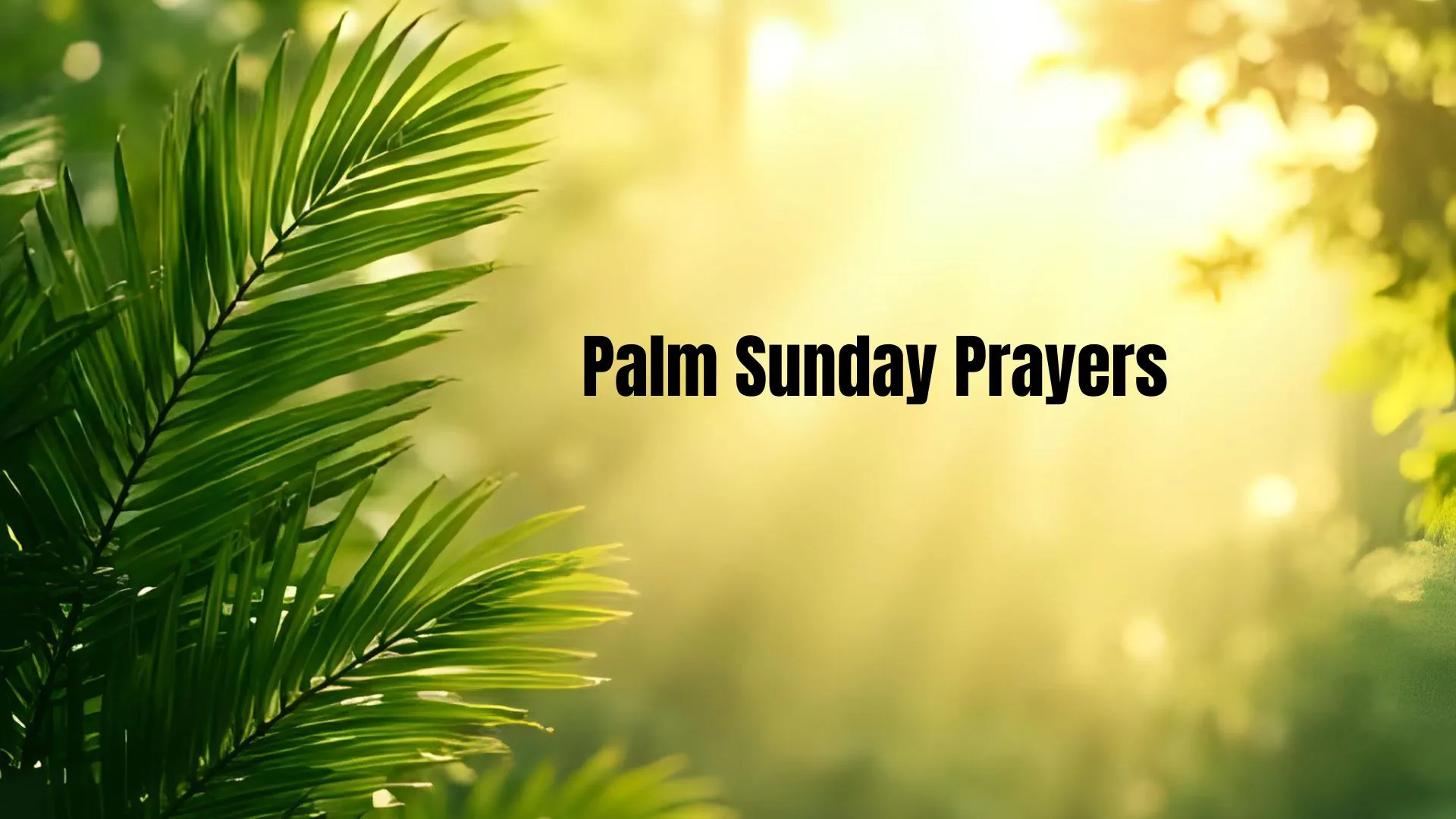 43+ Meaningful Palm Sunday Prayers for Strength, Guidance and Devotion